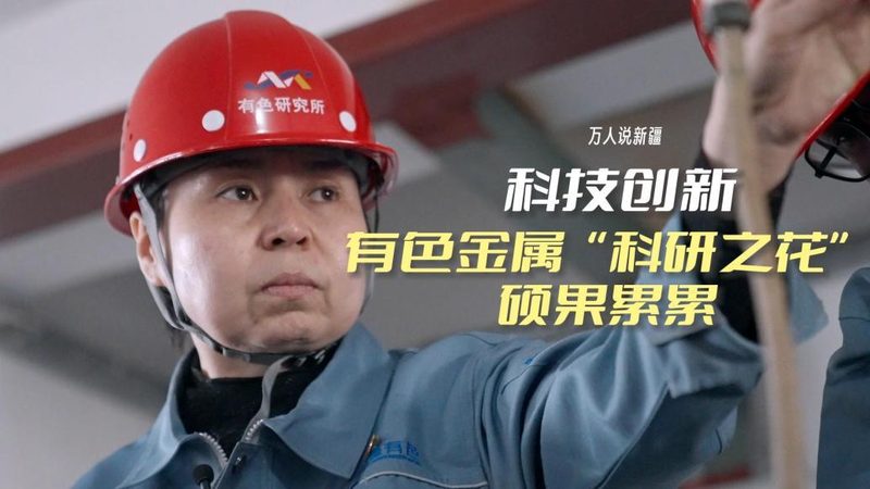 智能客服电话系统：如何选择最适合您的解决方案**